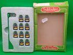 Subbuteo squadra lw Verona 1985-86 Campione D'Italia ref. 615