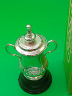 Subbuteo trofeo F.A Cup C128