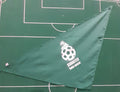 Subbuteolab bandana logo Falco colore verde