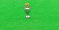 Subbuteo trofeo mini Premier League